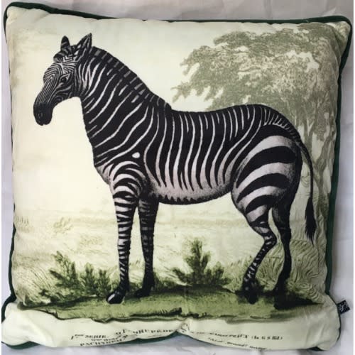 Throw Pillow-safari- 40x40cm