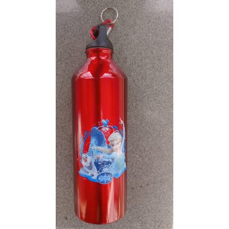 600ml Frozen Cartoon Chatacter Aluminum Sports Water Bottle - Red