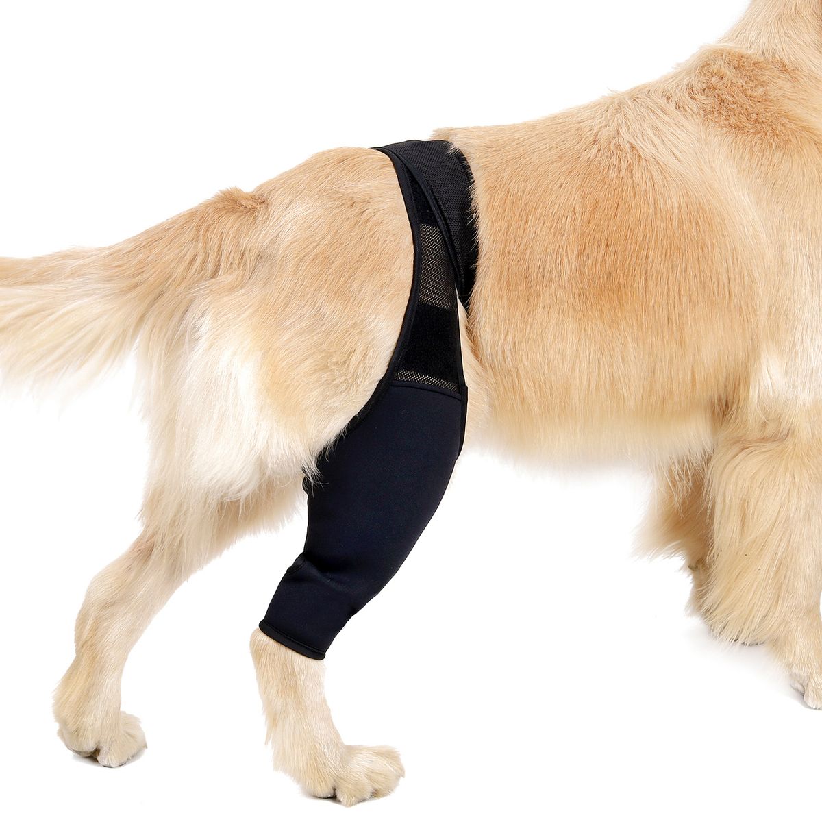 Dog Recovery Sleeve Front Rear Leg Support Brace For Injury