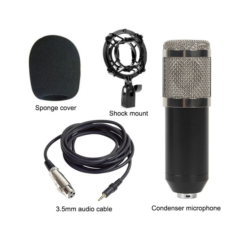 BM-800 Back Pole Large-diaphragm Condenser Microphone Set