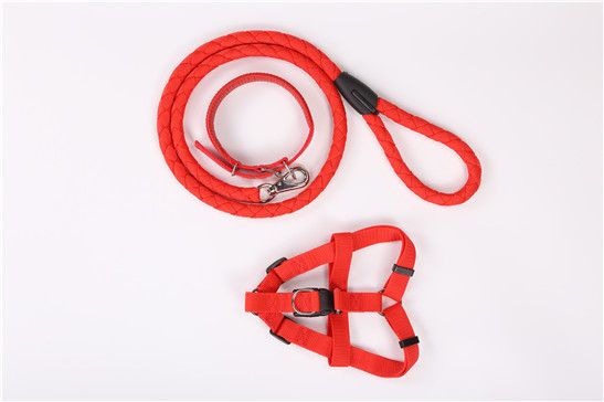 Hand Holding Rope Pet Twist Dog Chain