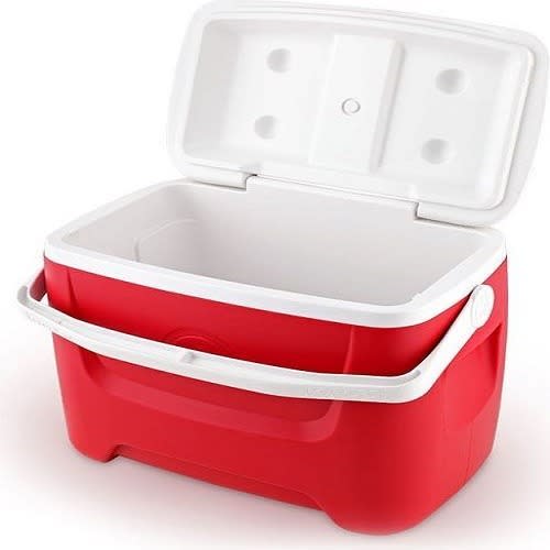 Food/drinks Cooler - 48 Quartz