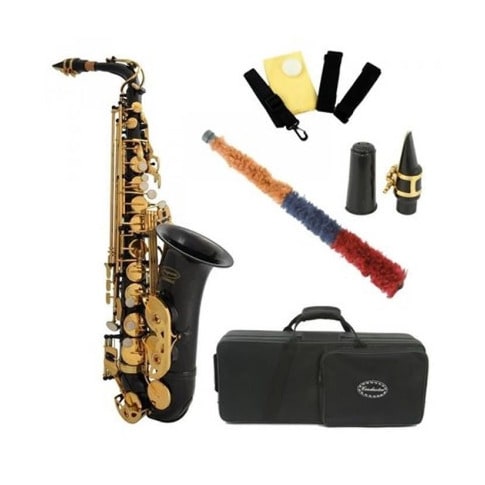 Alto Saxophone - Black & Gold