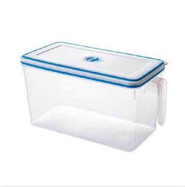 Square Plastic With Handle Storage Boxes Blue (blue)