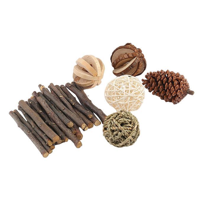 Wood Gerbil Rat Hamster Chew Toys Twigs Dumbbells Unicycle Play Toy