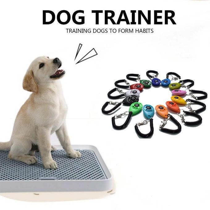 Puppy  Trainer Obedience  Wrist Is Introducing New Wearable Blue