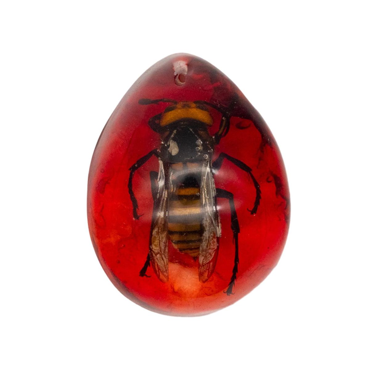Amber Toys Vibrant Amber Collection Scorpion Butterfly Crab for Ages Red