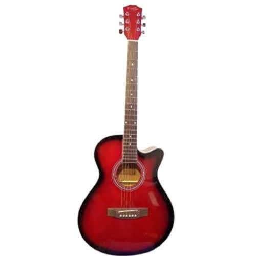 Semi Acoustic Electric Guitar