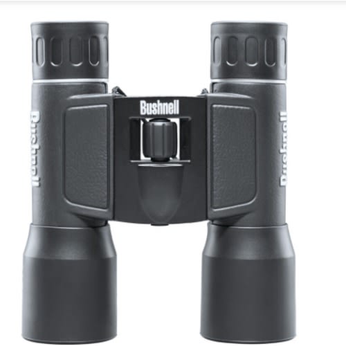 Powerview 10 X 32 Compact Binocular