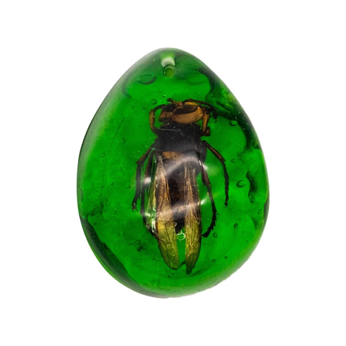 Children Amber Toys Vibrant Amber Collection Scorpion for Ages Green