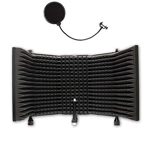 Vocal Booth/Mic Reflection Filter