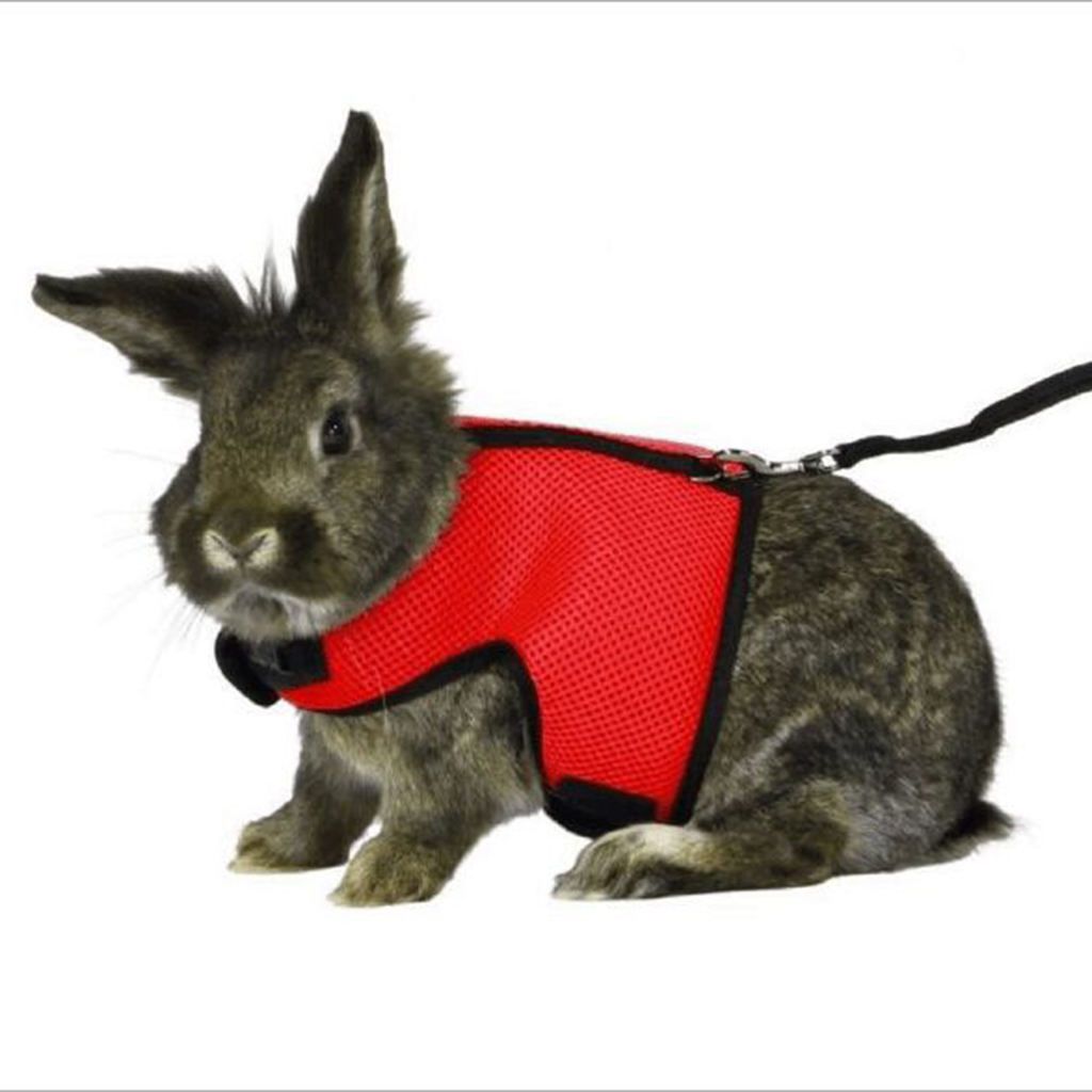 Small Pet Rabbit Harness Leash Set Adjustable Hamster Harness Red M