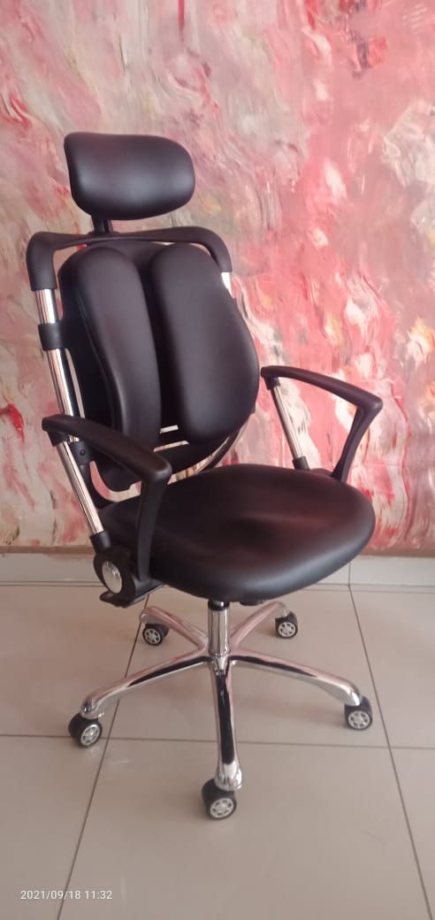 Kidney Ergonomic Office Chair