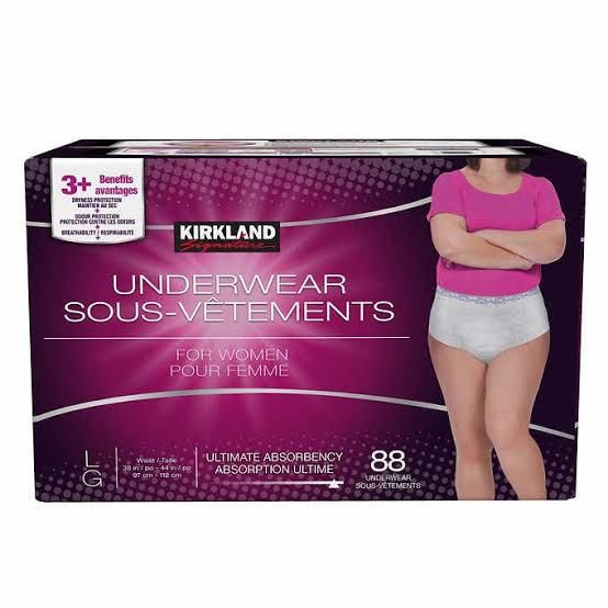 Women Protective Underwear, LARGE - 88 PACK