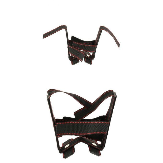 Large Dog Ear Corrector