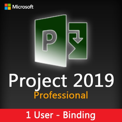 Project Professional 2019 For 1 User Binding- lifetime License Key