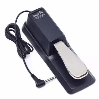 Piano Style Keyboard Sustain Pedal