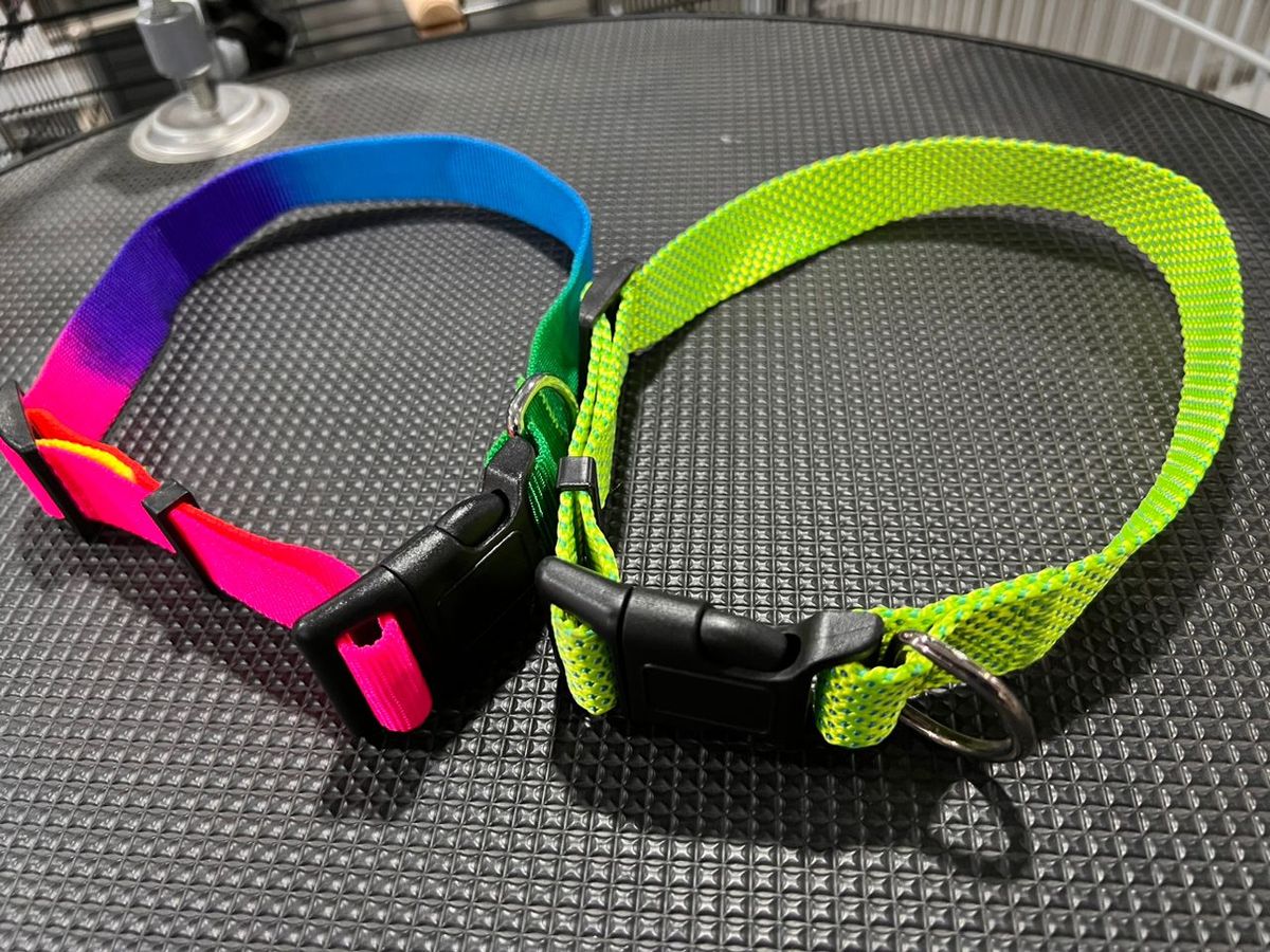 Meduim Collar For Dogs