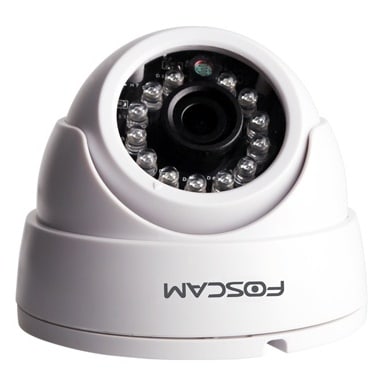 FI9851P Dome IP Camera