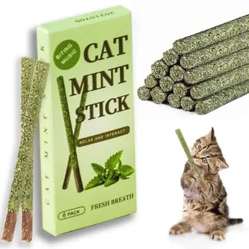 TD Cat Natural Silvervine Mint Matatabi Catnip Stick Toy