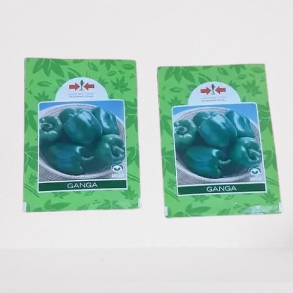 Ganga Green Bell Pepper Seeds 2 Packs