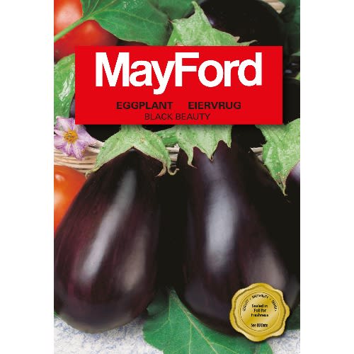 Eggplant Seed (black Beauty)