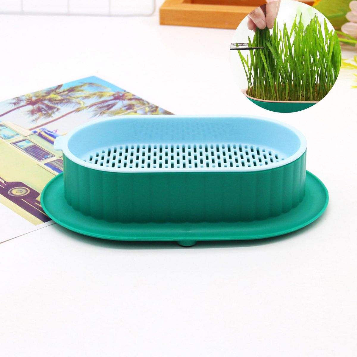 Seed Tray Cats  For Seedling Green Color Blue