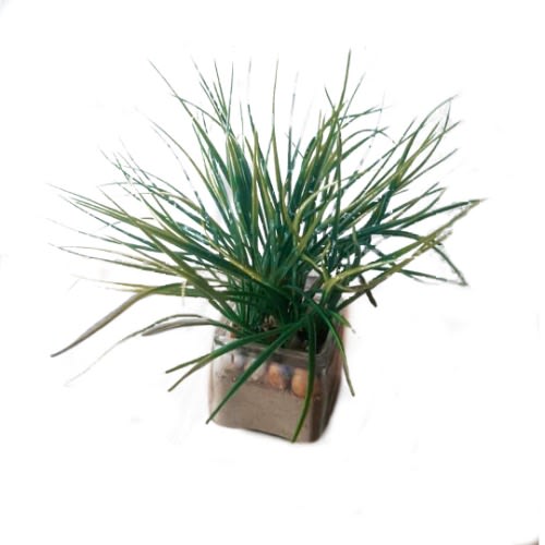 Artificial Grass In Glass Decor - 20cm