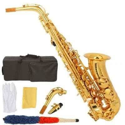Professional Alto Saxophone