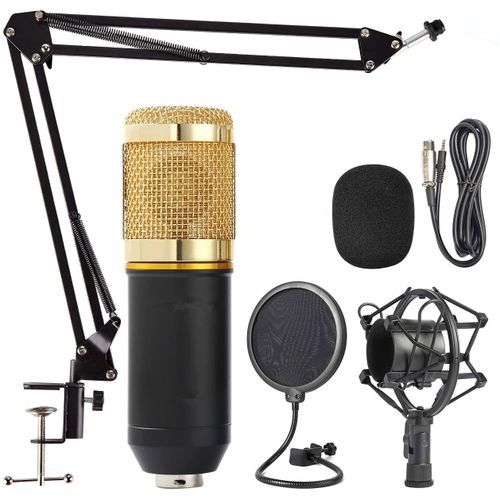 BM800 Studio Recording Condenser Microphone Set (gold)
