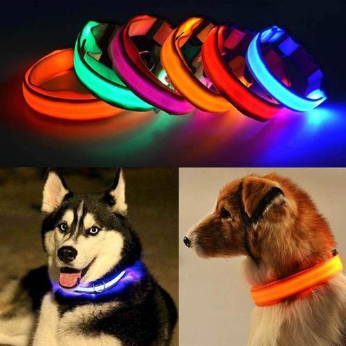 Pin Battery Super-Bright LED Dog Collars-Glow In The Dark
