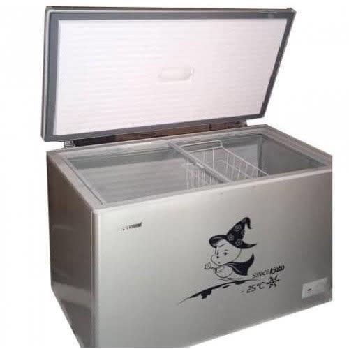 Chest Freezer Bd-450-G