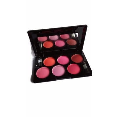 Six Color Professional Blush