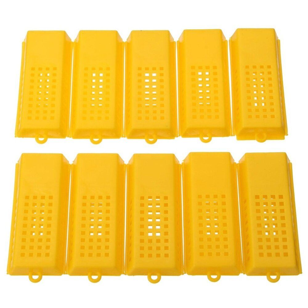 10Pcs Hot Professional Queen Bee Butler Cage Catcher Trap Case Beekeeping Tool