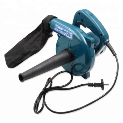 Lion Hand Blower - 700W