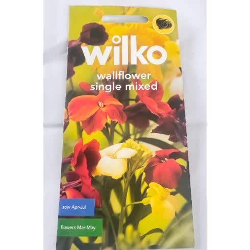 Wallflower Single Mixed Seeds - 550 Seeds
