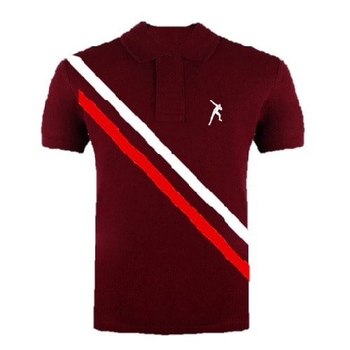 Men's  Slant Design Polo