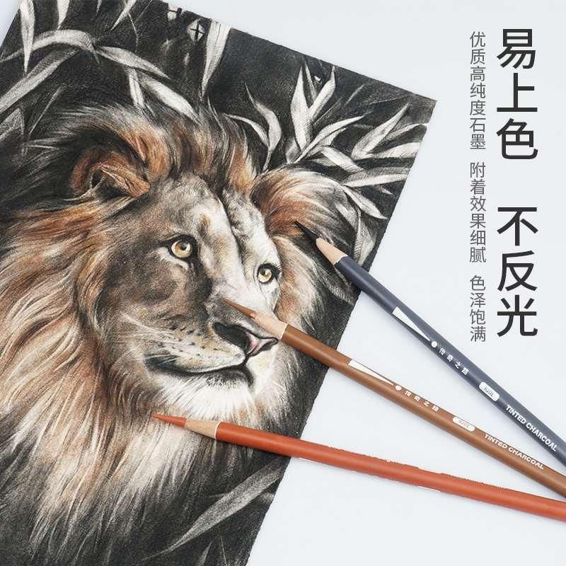 Legendary Road Sketch Color Charcoal Pencil Highlight Stick White Black Brown Sketch Brush Single for Art Students Only