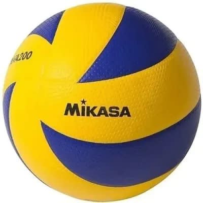 Gingko Mikasa Volley Ball