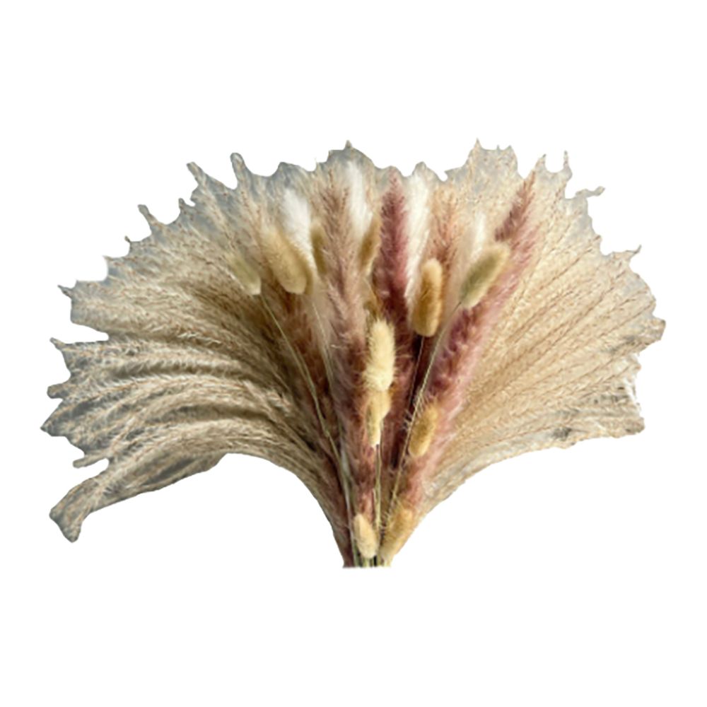 55 Pcs Reed Pampas Set Dried Flower for Arrangements Home
