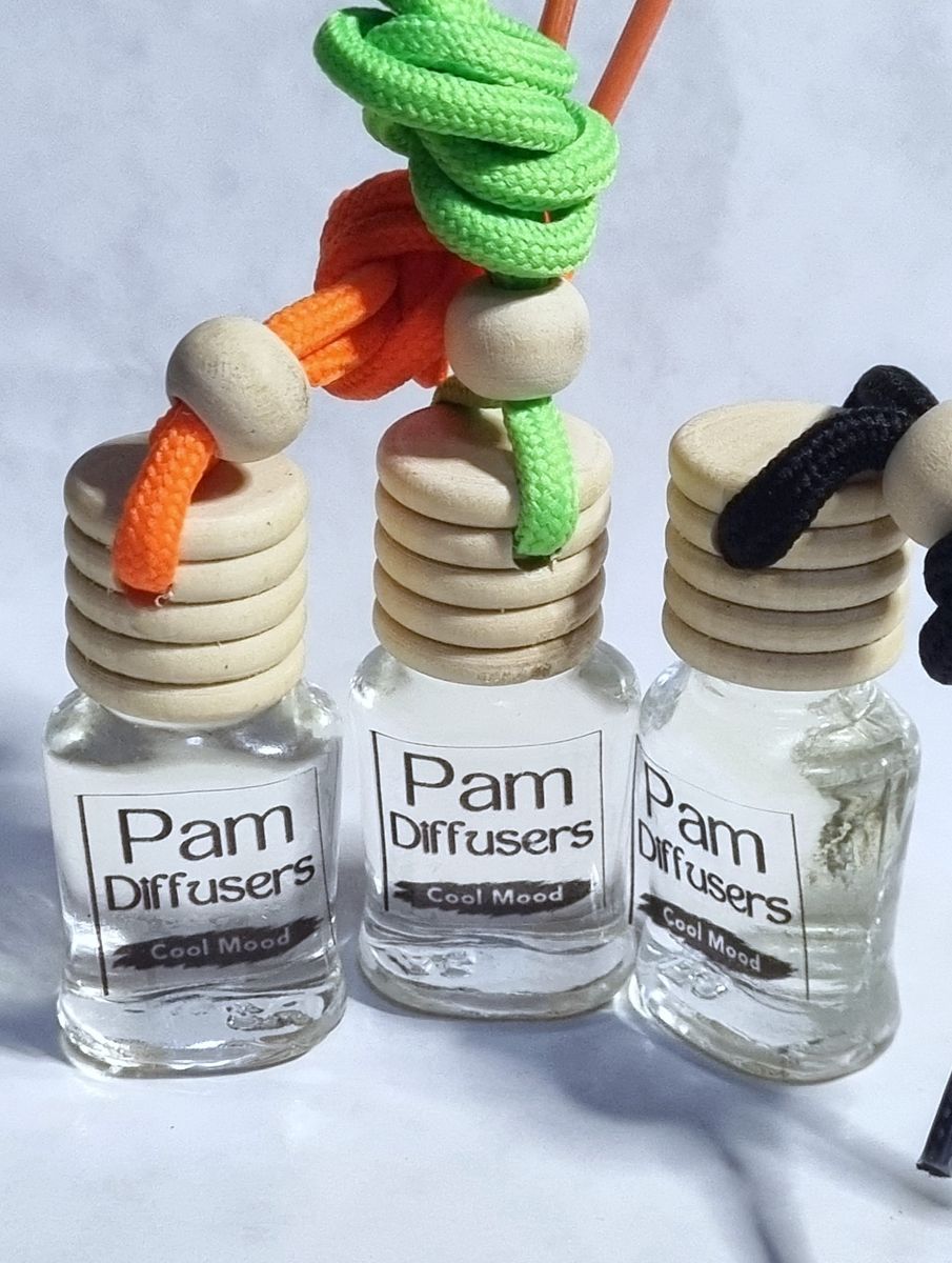 3&times; Hanging Car Air Freshener - Car Diffuser - Cool Mood