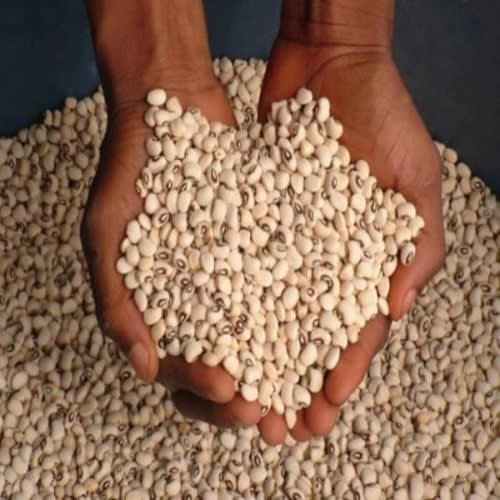 Clean Brown Beans - 3kg