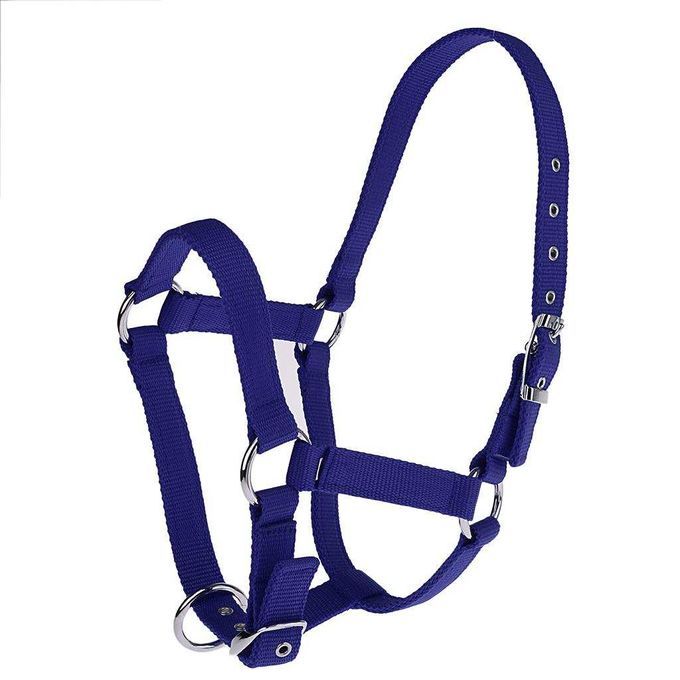 Prettyia     Nylon     Webbing     Equestrian     Western     Blue L