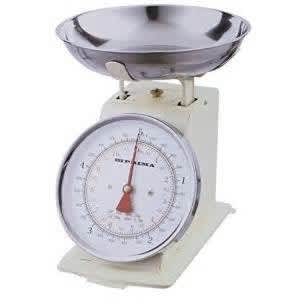 Prima Stainless Steel Kitchen Scale