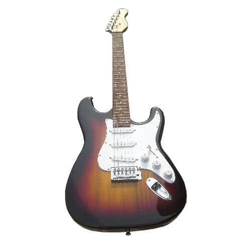 Professional Leed Guitar