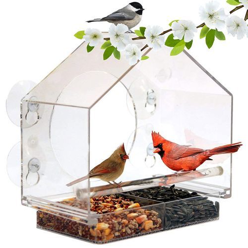 Bird Feeder Acrylic Outdoor Garden Hummingbird Field Feeder