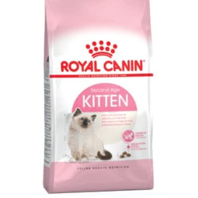 Kitten 2kg