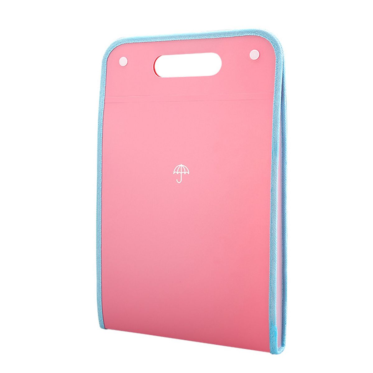 Expanding File Folder 13 Pocket File Organizer Colorul