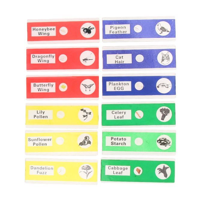 12x Prepared Microscope Slides Biological Specimen Sections
