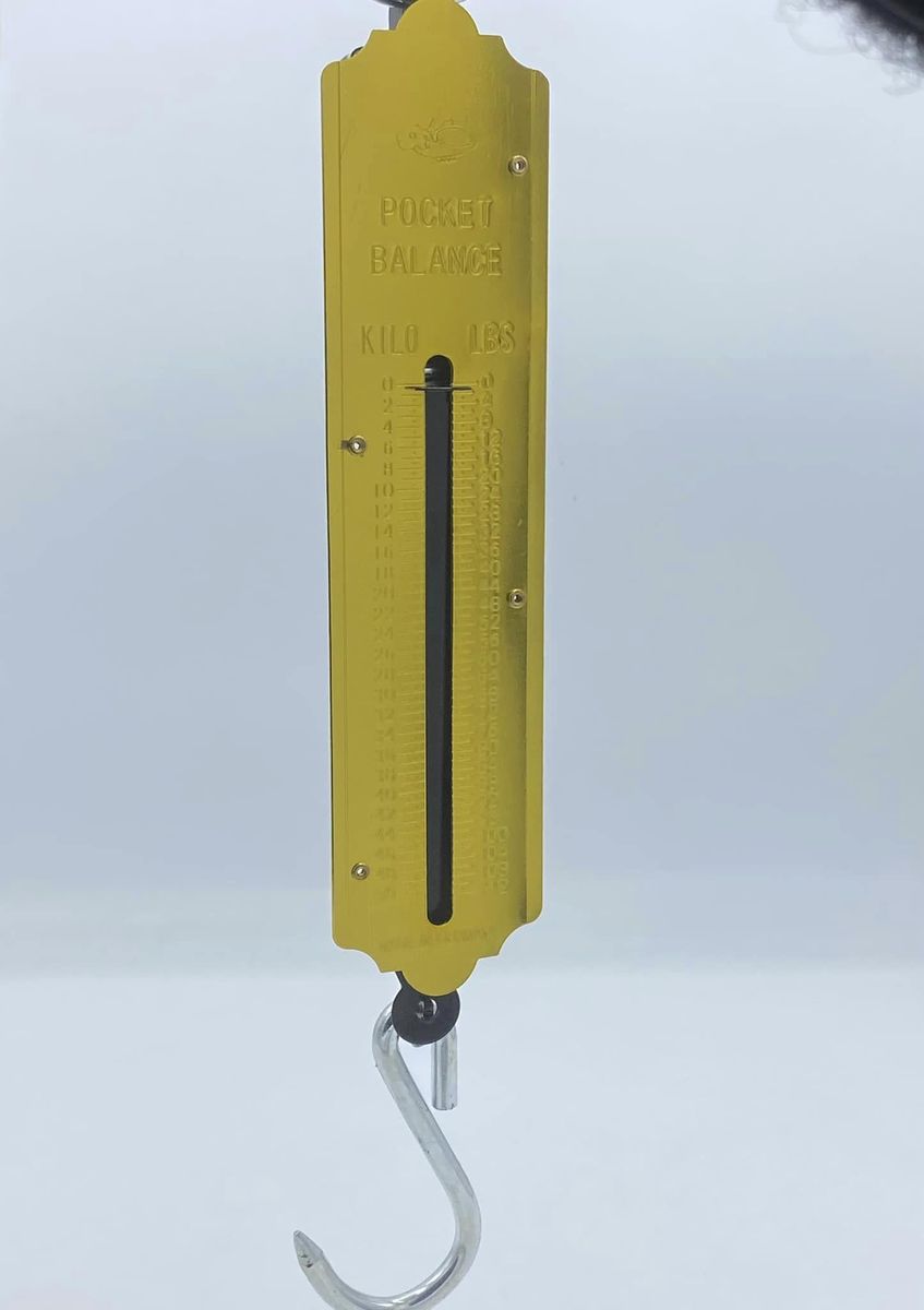 Mini Hook Weighing Pocket Weight Scale Balance 50kg